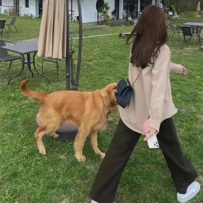 终极游戏