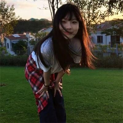 我私人的爱达荷